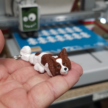 Papillon biało-brązowy - brelok do kluczy